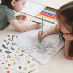 Sticker and Colouring Book (The Botanist)