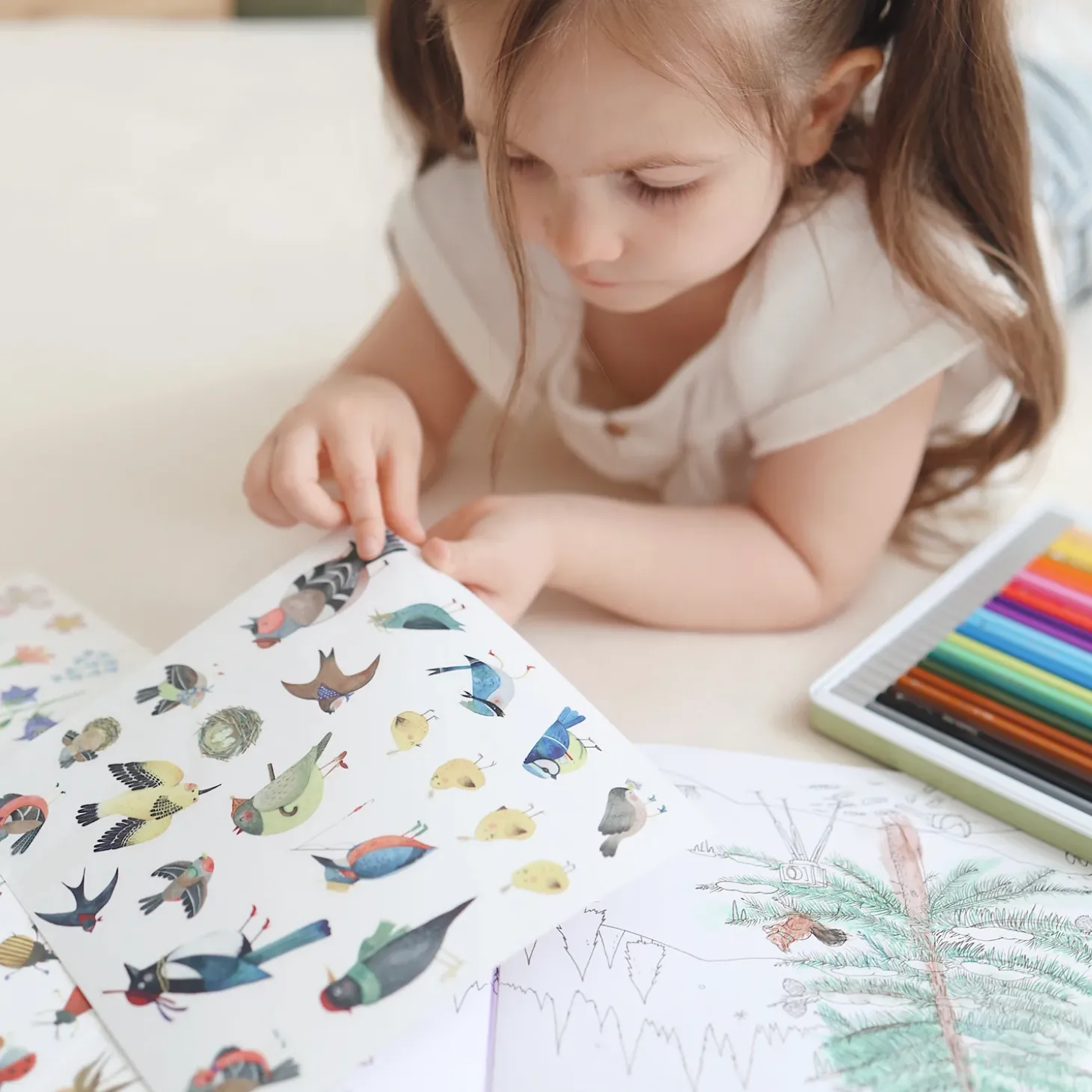 Sticker and Colouring Book (The Botanist)