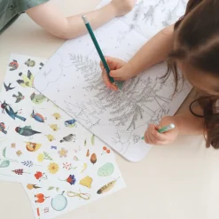 Sticker and Colouring Book (The Botanist)