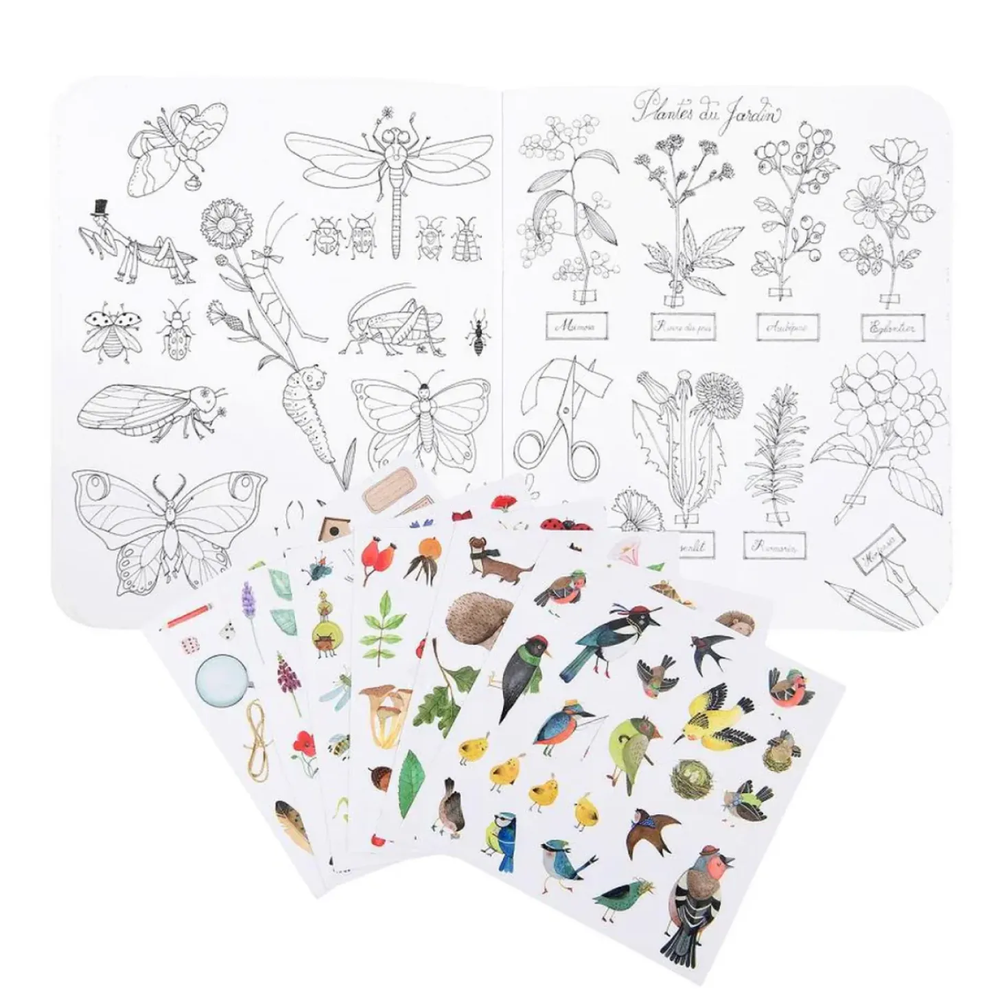 Sticker and Colouring Book (The Botanist)