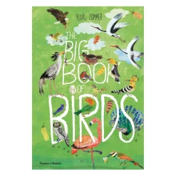 The Big Book of Birds | Hardcover