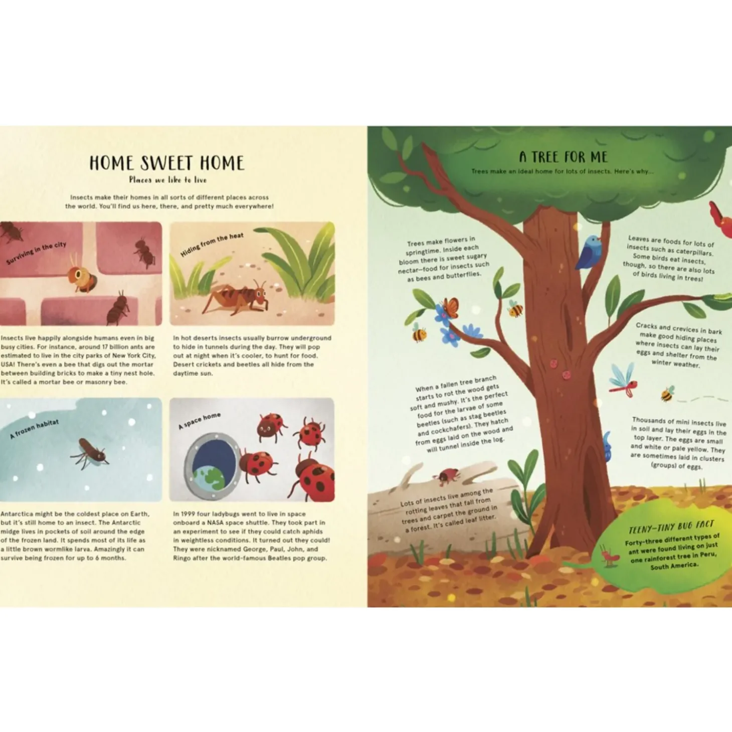 The Secret Life Of Bugs | Hardcover