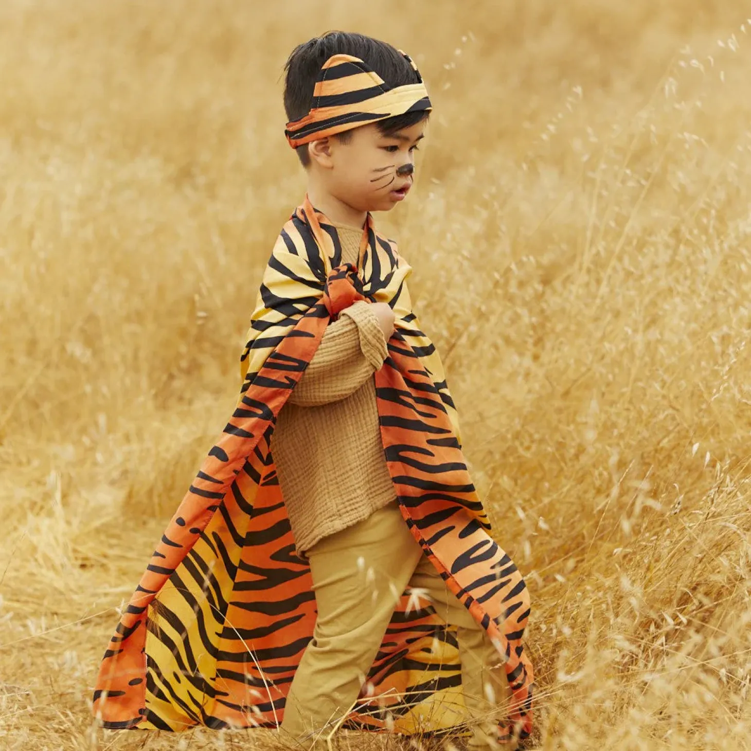 Tiger Dress-up Set