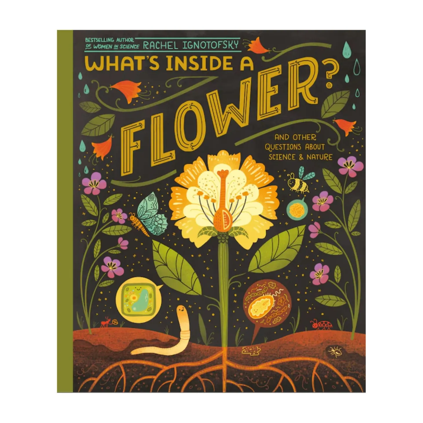What's Inside a Flower? And Other Questions About Science & Nature | Softcover