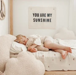 You Are My Sunshine Canvas Banner