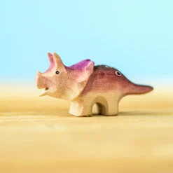 Baby Triceratops Dinosaur