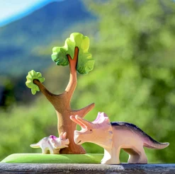 Baby Triceratops Dinosaur