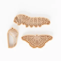Butterfly Lifecycle Eco Cutter Set