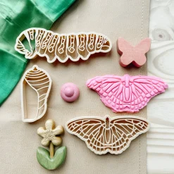 Butterfly Lifecycle Eco Cutter Set