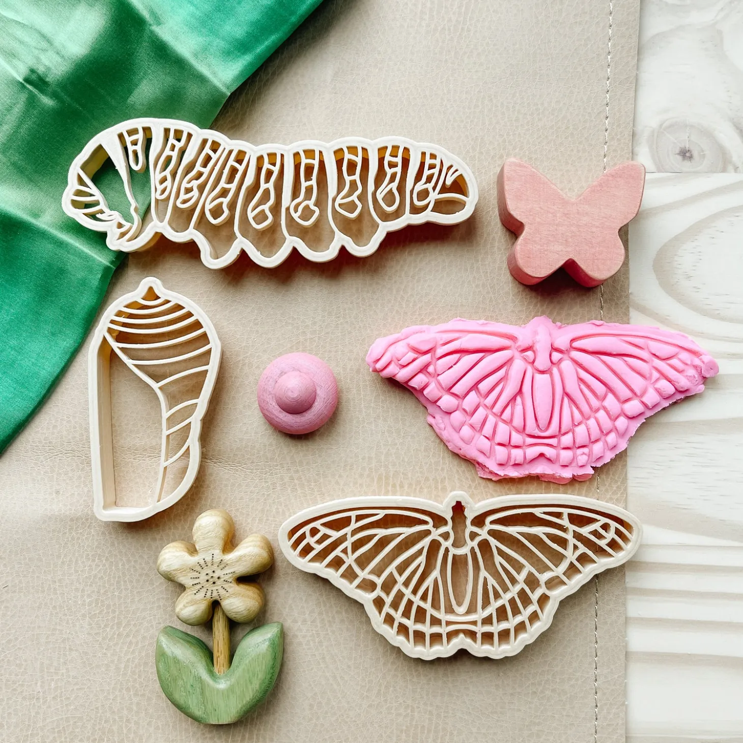Butterfly Lifecycle Eco Cutter Set