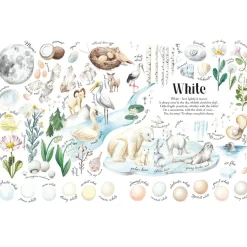 Colors in Nature | Hardcover