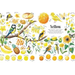 Colors in Nature | Hardcover