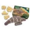 Dig and Discover Sensory Stones (Pliosaur & Stegosaurus)