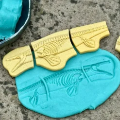 Dig and Discover Sensory Stones (Pliosaur & Stegosaurus)