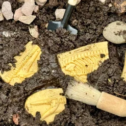 Dig and Discover Sensory Stones (Pliosaur & Stegosaurus)