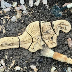Dig and Discover Sensory Stones (Triceratops & Spinosaurus)