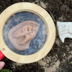 Dig and Discover Sensory Stones (Ankylosaurus & Tyrannosaurus Rex)