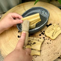 Dig and Discover Sensory Stones (Pliosaur & Stegosaurus)