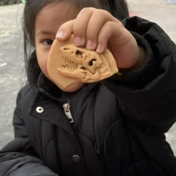 Dig and Discover Sensory Stones (Ankylosaurus & Tyrannosaurus Rex)