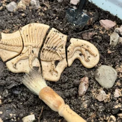 Dig and Discover Sensory Stones (Triceratops & Spinosaurus)