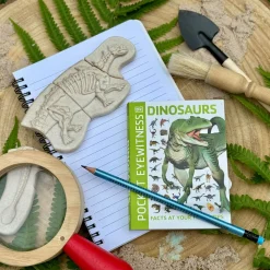 Dig and Discover Sensory Stones (Ankylosaurus & Tyrannosaurus Rex)