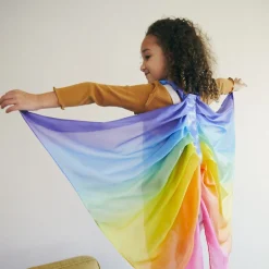 Dress-Up Fairy Wings (Rainbow)