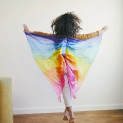 Dress-Up Fairy Wings (Rainbow)