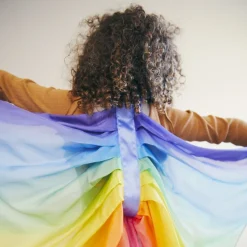 Dress-Up Fairy Wings (Rainbow)