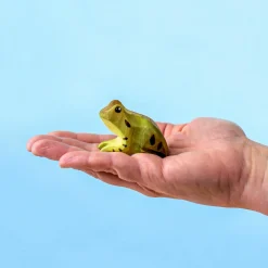 Frog | Wooden Toy