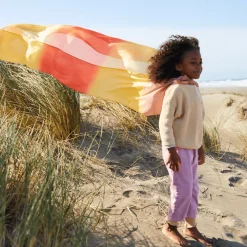 Giant Playsilk (Desert)