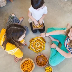 Grapat Mandala (Honeycombs)