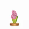 Hyacinth | Wooden Toy Flower