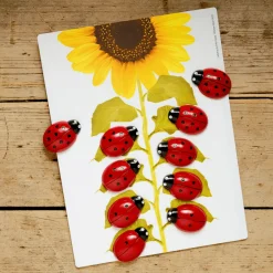 Lady Bug Counting Stones (Set of 22)