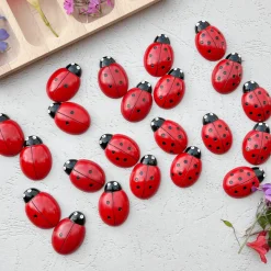 Lady Bug Counting Stones (Set of 22)