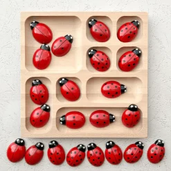 Lady Bug Counting Stones (Set of 22)