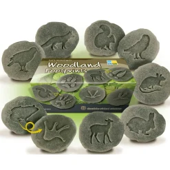 Let's Investigate Footprints Sensory Stones (Woodland)