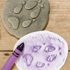 Let's Investigate Footprints Sensory Stones (Woodland)