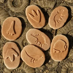 Let's Investigate Footprints Sensory Stones (Dinosaur)
