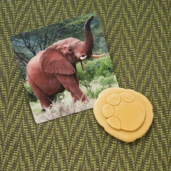 Let's Investigate Footprints Sensory Stones (Safari)