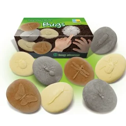 Let's Investigate Sensory Stones (Bugs)