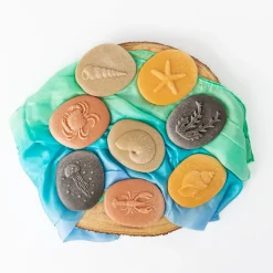 Let's Investigate Sensory Stones (Seashore)
