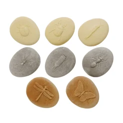 Let's Investigate Sensory Stones (Bugs)