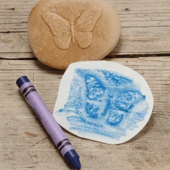 Let's Investigate Sensory Stones (Bugs)