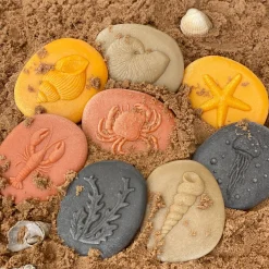 Let's Investigate Sensory Stones (Seashore)