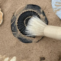 Let's Investigate Sensory Stones (Fossils)