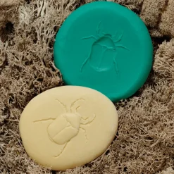 Let's Investigate Sensory Stones (Bugs)