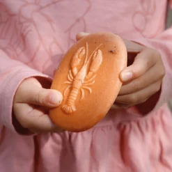 Let's Investigate Sensory Stones (Seashore)