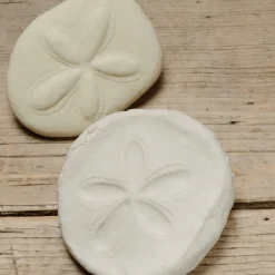 Let's Investigate Sensory Stones (Fossils)