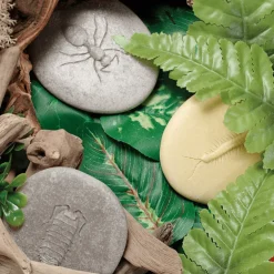 Let's Investigate Sensory Stones (Bugs)