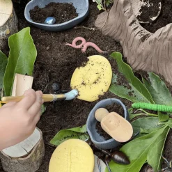 Let's Investigate Sensory Stones (Bugs)